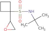 N-tert-Butyl-1-(oxiran-2-yl)cyclobutane-1-sulfonamide