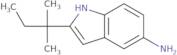 2-(2-Methylbutan-2-yl)-1H-indol-5-amine
