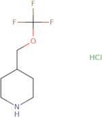 4-[(Trifluoromethoxy)methyl]piperidine hydrochloride