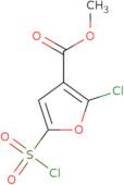 Methyl 2-chloro-5-(chlorosulfonyl)furan-3-carboxylate