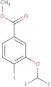 Methyl 3-(difluoromethoxy)-4-iodobenzoate