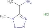 1-(1-Methyl-1H-1,2,3,4-tetrazol-5-yl)ethan-1-amine hydrochloride