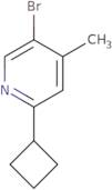 5-Bromo-2-cyclobutyl-4-methylpyridine
