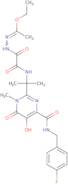 Raltegravir -ethoxyacethydrazone