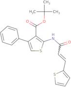 tert-Butyl 4-phenyl-2-[(2E)-3-(thiophen-2-yl)prop-2-enamido]thiophene-3-carboxylate