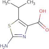 2-Amino-5-(propan-2-yl)-1,3-thiazole-4-carboxylic acid