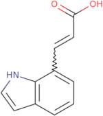 (E)-3-(1H-Indol-7-yl)acrylic acid