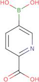 6-Carboxypyridine-3-boronic acid