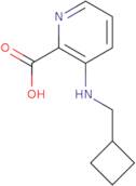 3-(Cyclobutylmethylamino)pyridine-2-carboxylic acid