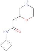 N-Cyclobutyl-2-(morpholin-2-yl)acetamide