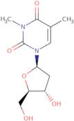 N3-Methylthymidine