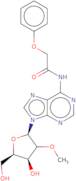 2'-O-Methyl-N6-phenoxyacetyladenosine