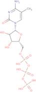 5-Methylcytidine-5'-triphosphate sodium salt - 100mM aqueous solution