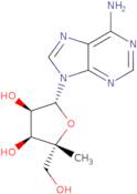 4'-a-C-Methyladenosine