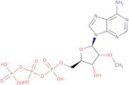 2'-O-Methyladenosine-5'-triphosphate sodium salt - 100mM aqueous solution