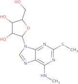 2-Methylthio-N6-methyladenosine