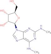 2-Methylamino-N6-methyladenosine