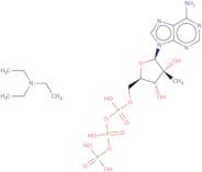 2'-C-Methyladenosine 5'-triphosphate triethyl ammonium salt - Aqueous solution