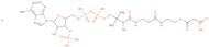 Malonyl coenzyme A lithium salt - 90%