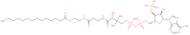 Myristoyl coenzyme A