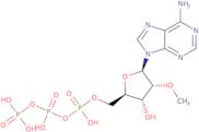 2'-O-Methyladenosine 5'-triphosphate lithium salt - 100 mM aqueous solution