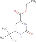 2-Amino-N-(2-methyl-1,3-benzothiazol-5-yl)acetamide