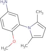 3-(2,5-Dimethyl-pyrrol-1-yl)-4-methoxy-phenylamine