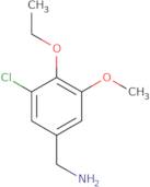 (3-Chloro-4-ethoxy-5-methoxyphenyl)methanamine