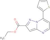 Ethyl 7-thien-2-ylpyrazolo[1,5-a]pyrimidine-2-carboxylate