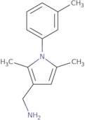 {[2,5-Dimethyl-1-(3-methylphenyl)-1H-pyrrol-3-yl]methyl}amine