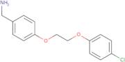 {4-[2-(4-Chlorophenoxy)ethoxy]phenyl}methanamine