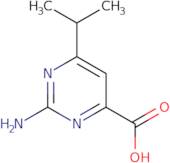 2-Amino-6-isopropylpyrimidine-4-carboxylic acid