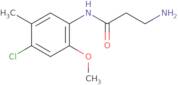 3-Amino-N-(4-chloro-2-methoxy-5-methylphenyl)propanamide