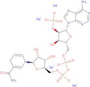 b-Nicotinamide adenine dinucleotide phosphate, reduced form, tetrasodium salt - min 95%