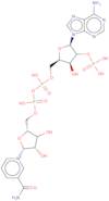 b-Nicotinamide adenine dinucleotide phosphate potassium salt hydrate