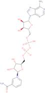 β-Nicotinamide adenine dinucleotide