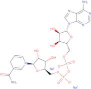 b-Nicotinamide adenine dinucleotide reduced form, disodium salt