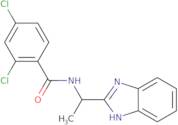 N-[1-(1H-1,3-Benzodiazol-2-yl)ethyl]-2,4-dichlorobenzamide