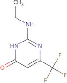 2-(Ethylamino)-6-(trifluoromethyl)-4-pyrimidinol