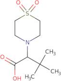 2-(1,1-Dioxidothiomorpholin-4-yl)-3,3-dimethylbutanoic acid