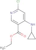 Ethyl 6-chloro-4-(cyclopropylamino)pyridine-3-carboxylate