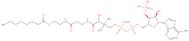 Octanoyl coenzyme A potassium salt
