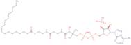 Oleoyl coenzyme A