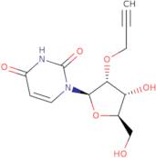 2'-O-Propargyluridine