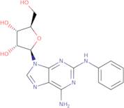 2-Phenylaminoadenosine