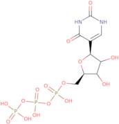 Pseudouridine-5'-triphosphate trisodium salt - 100mM aqueous solution
