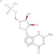 Polyguanylic acid potassium salt