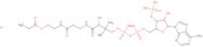 Propionyl coenzyme A lithium salt