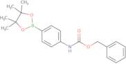 4-Cbz-aminophenylboronic acid pinacol ester