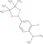 3-Chloro-4-(N,N-dimethylamino)phenylboronic acid pinacol ester